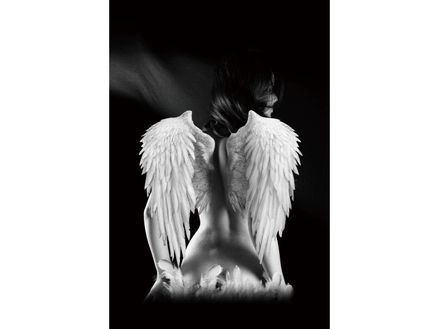 Obraz ANGEL 80x120 cm